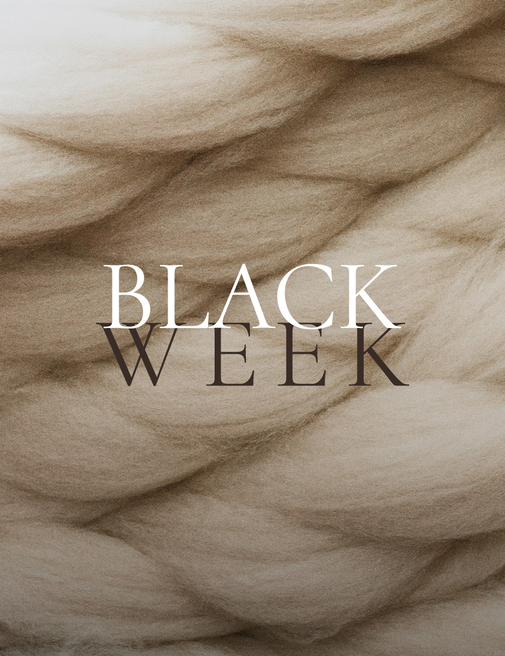 BF_2025_2Phase_BlackWeek_Hero_m